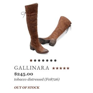 Born Gallinara “Tobacco Distressed”boot (F08726)